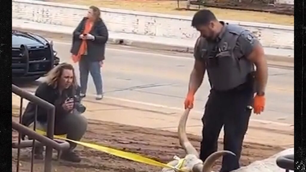 Four Hit With Criminal Charges After Dead Longhorn Found Near OSU Campus