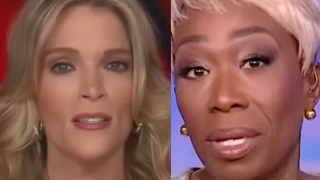 Megyn Kelly Annihilates Joy Reid - 'Weird Sexual Predilections...'