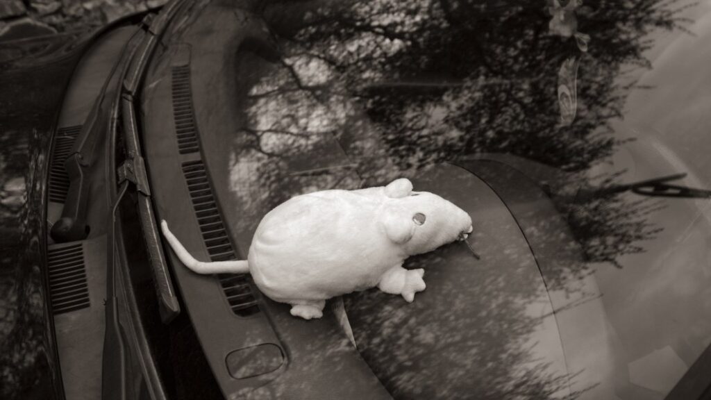 This cruelty-free rodent repeller drives mice away from your vehicle for under $30