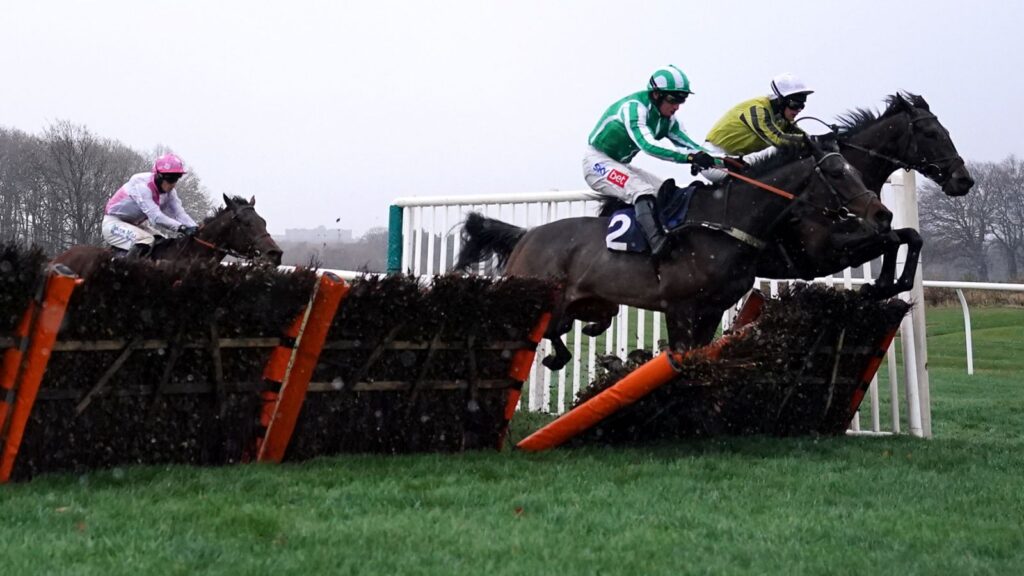 Newcastle racecourse hurdles general view