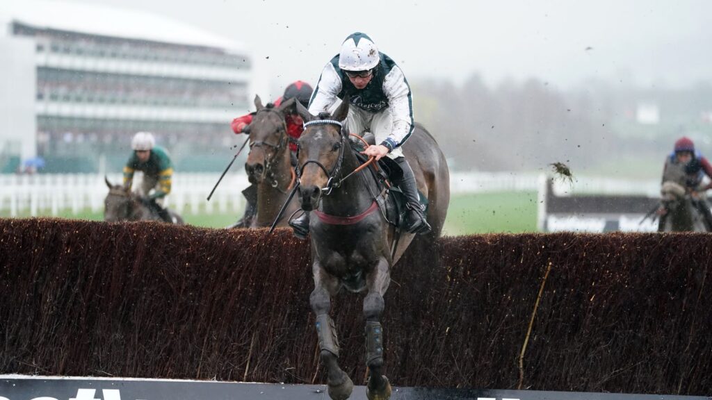 L'Homme Presse jumps all the way from the front to win the Brown Advisory Novices' Chase at Cheltenham