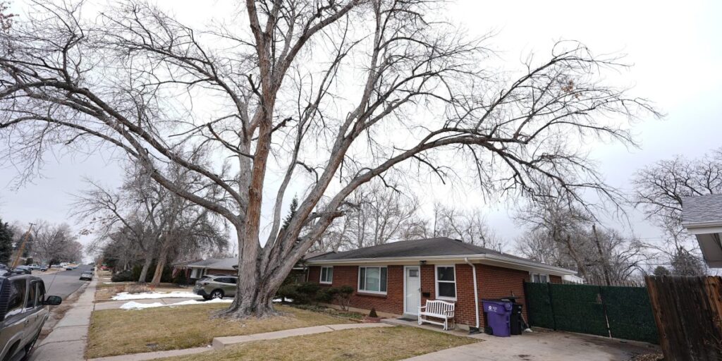 A forced eviction led to the discovery of cremated remains of 30 people