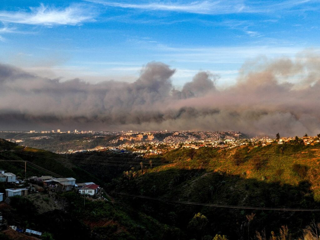 Chile declares state of emergency over raging forest fires | Climate Crisis News