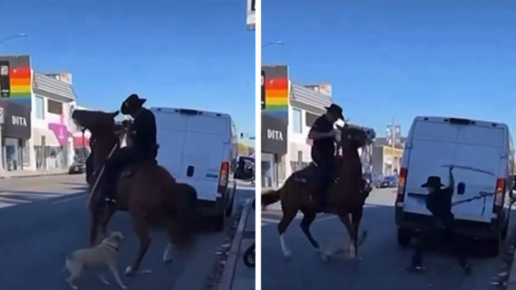 LAPD Officer Swings Baton at Unleashed Dog Over Police Horse Attack