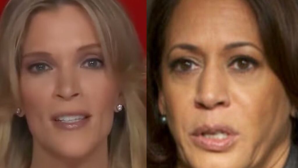 Megyn Kelly Skewers Media For Blaming Kamala Harris' Unpopularity On Her Skin Color