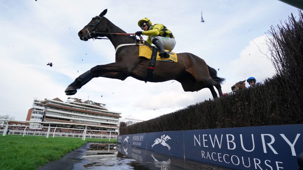 Shishkin in full flight in the Denman Chase