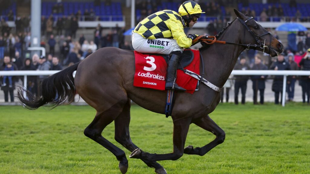 Shishkin is all set for Saturday's showpiece at Newbury