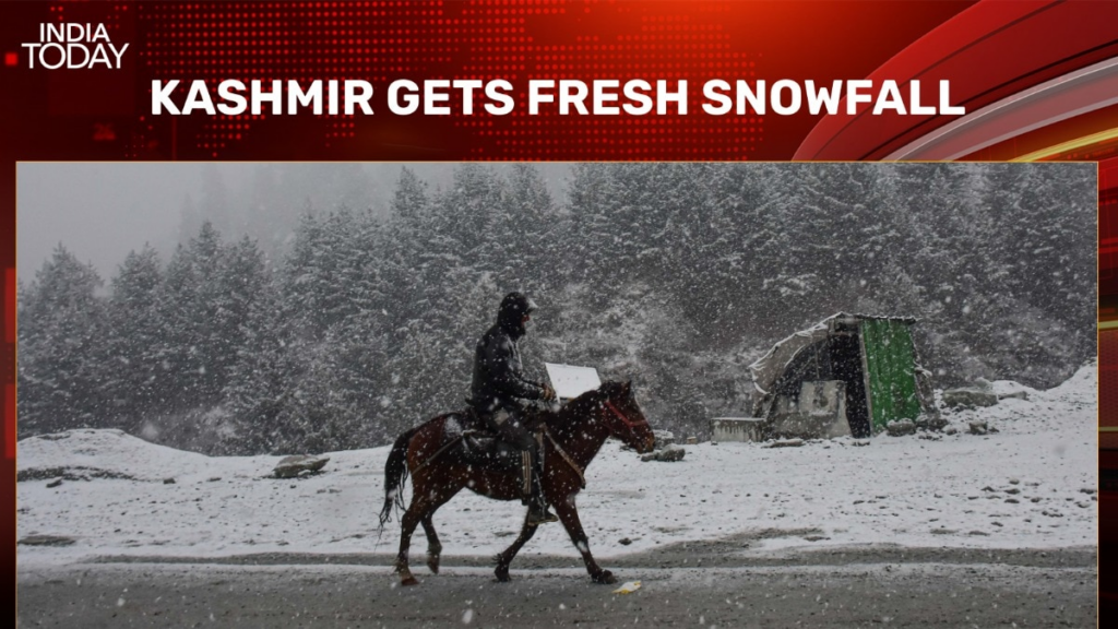 Video: Fresh snowfall blankets Kashmir after a long dry winter spell