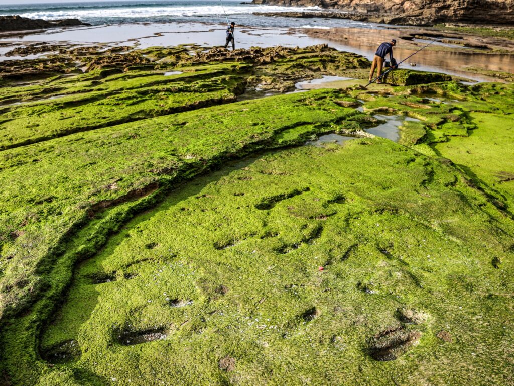 What 100,000-year-old footprints in Morocco tell us about early humans | Science and Technology News