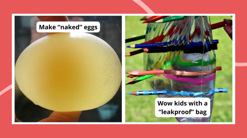 Easy science experiments including a "naked" egg and "leakproof" bag