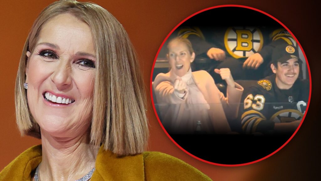 Celine Dion Rocks Out to Bon Jovi at NHL Game Amid Health Woes