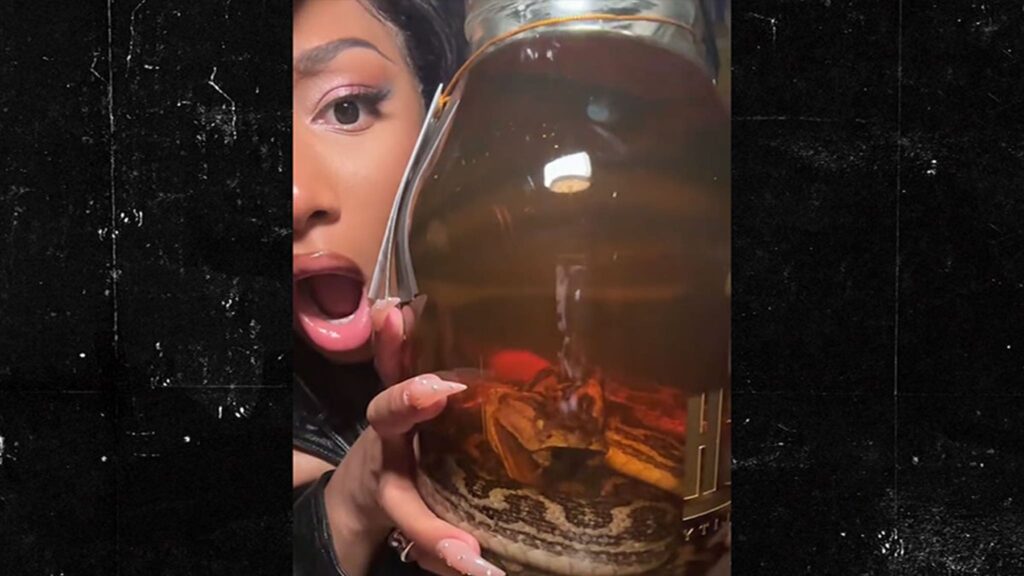 Megan Thee Stallion Drinks Booze From Snake-Filled Bottle In Japan