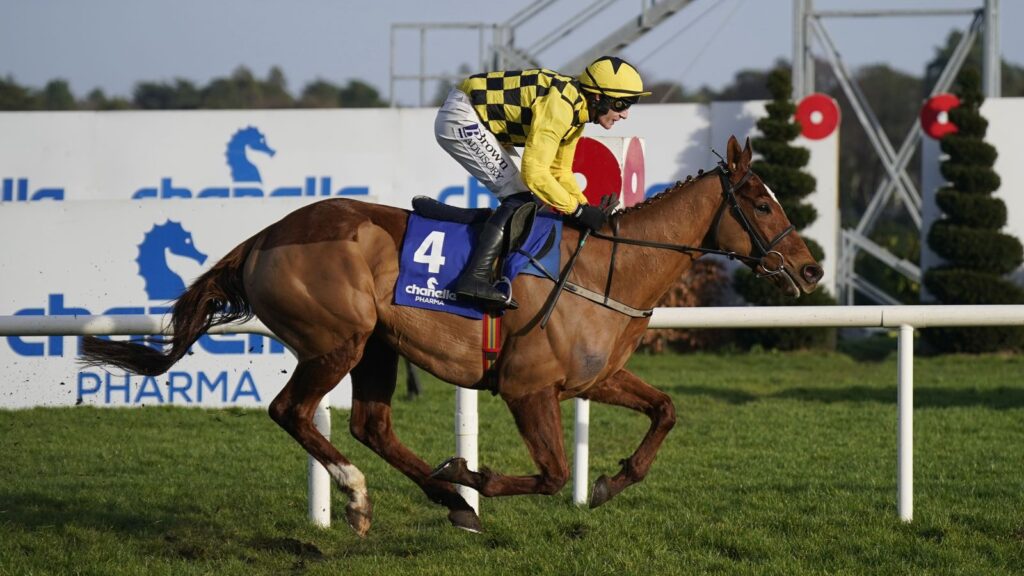 State Man and Paul Townend win the Irish Champion Hurdle for Willie Mullins