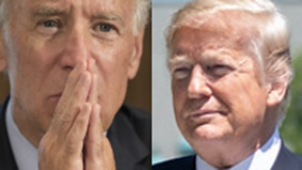 Realization Of Another Trump-Biden Race Is Causing Democrats to Panic: Report