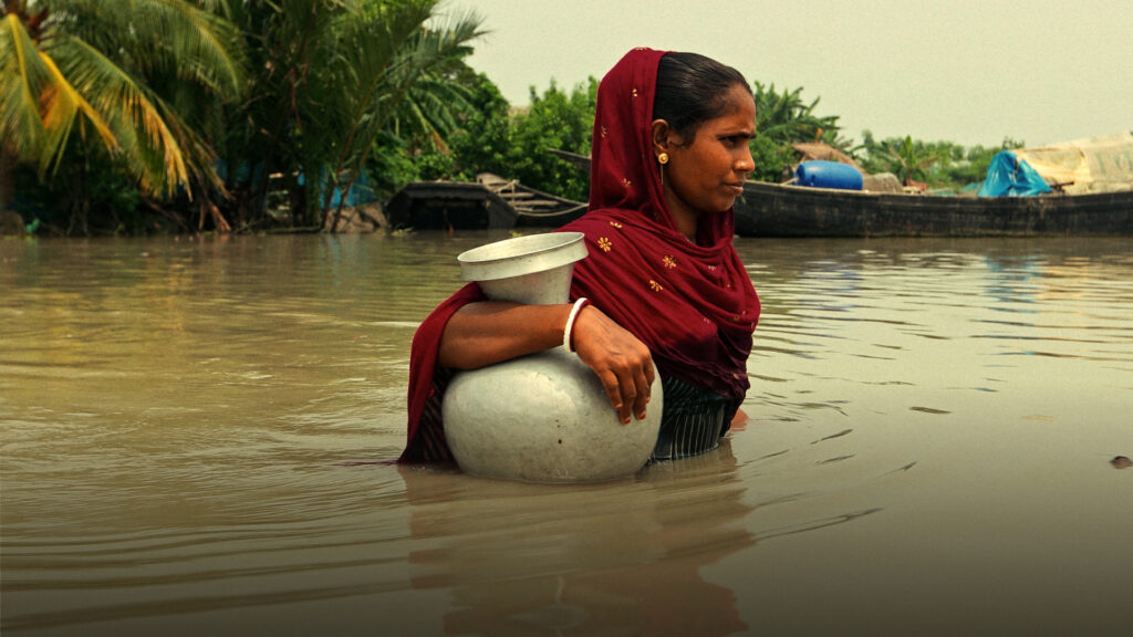 After the Hurricane | Climate Crisis