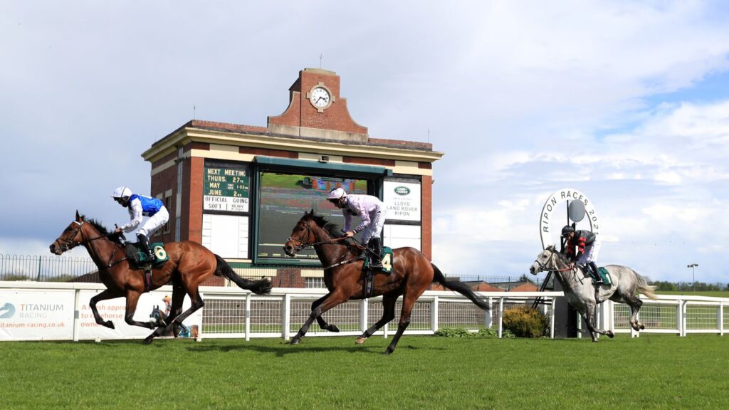 Ripon racecourse